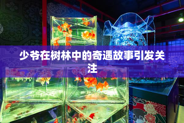 少爷在树林中的奇遇故事引发关注