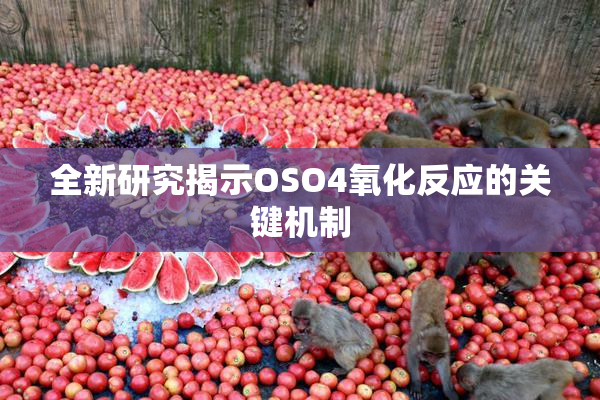 全新研究揭示OSO4氧化反应的关键机制