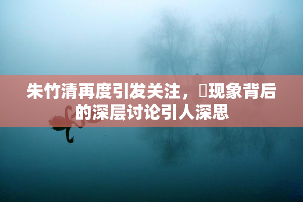 朱竹清再度引发关注，婬现象背后的深层讨论引人深思