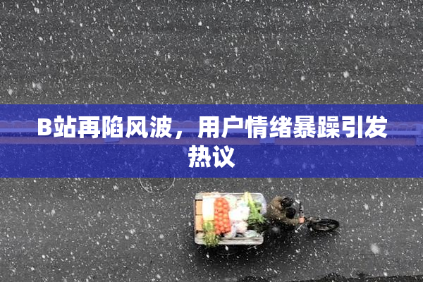 B站再陷风波，用户情绪暴躁引发热议