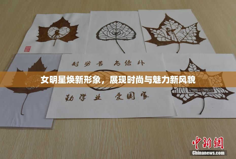 女明星焕新形象，展现时尚与魅力新风貌