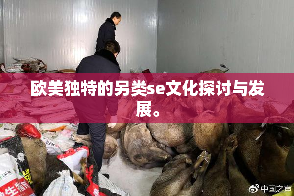 欧美独特的另类se文化探讨与发展。