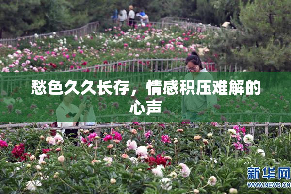 愁色久久长存，情感积压难解的心声