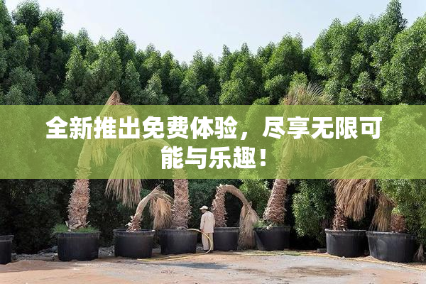 全新推出免费体验，尽享无限可能与乐趣！