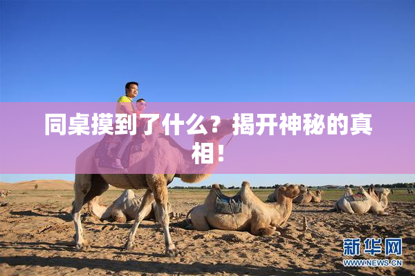 同桌摸到了什么？揭开神秘的真相！