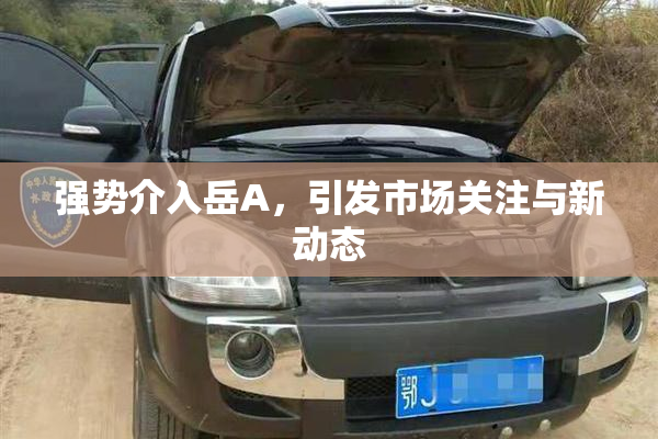 强势介入岳A，引发市场关注与新动态