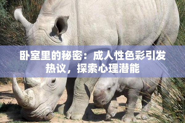 卧室里的秘密：成人性色彩引发热议，探索心理潜能