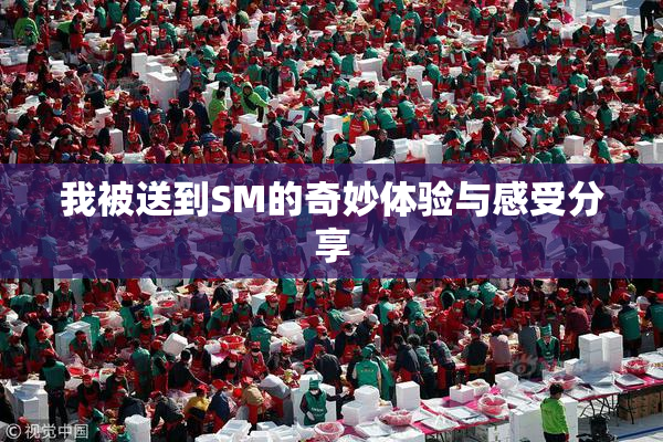 我被送到SM的奇妙体验与感受分享