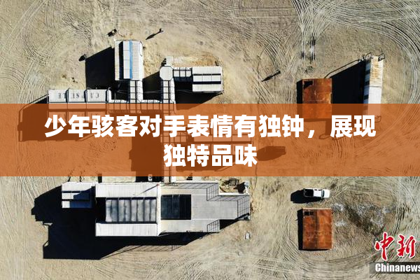 少年骇客对手表情有独钟，展现独特品味