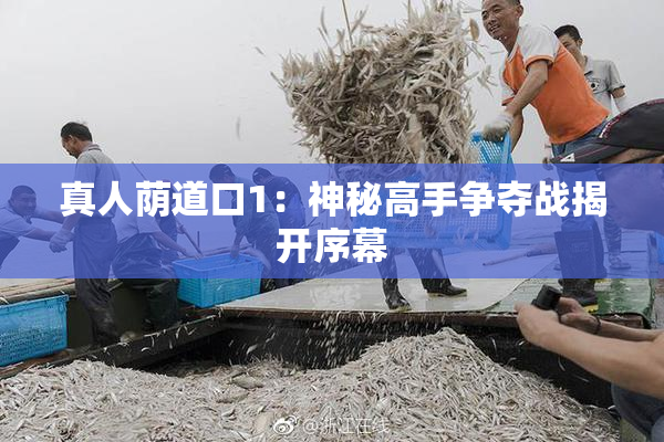 真人荫道口1：神秘高手争夺战揭开序幕