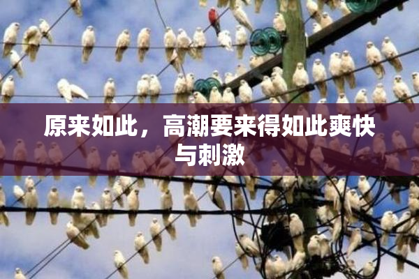 原来如此，高潮要来得如此爽快与刺激