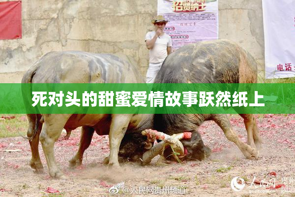 死对头的甜蜜爱情故事跃然纸上