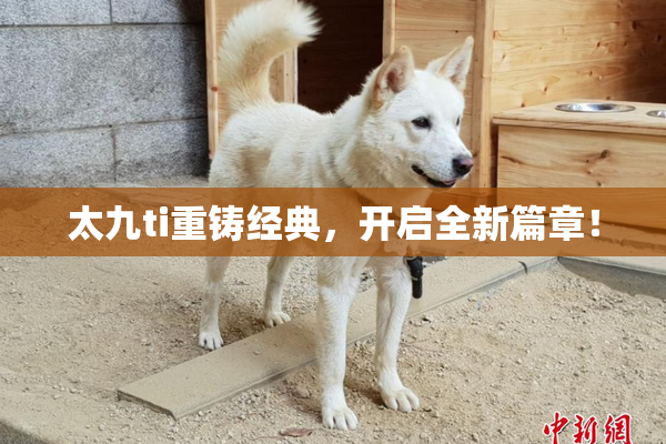 太九ti重铸经典，开启全新篇章！