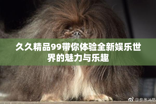 久久精品99带你体验全新娱乐世界的魅力与乐趣