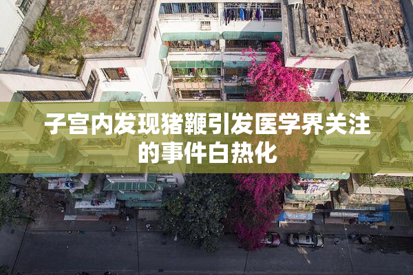子宫内发现猪鞭引发医学界关注的事件白热化