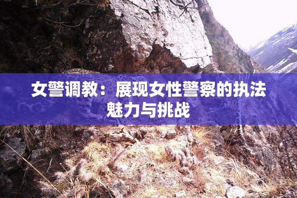 女警调教：展现女性警察的执法魅力与挑战
