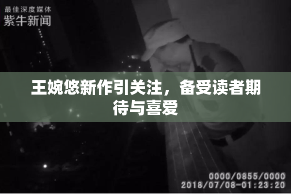 王婉悠新作引关注，备受读者期待与喜爱