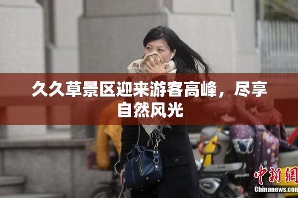 久久草景区迎来游客高峰，尽享自然风光
