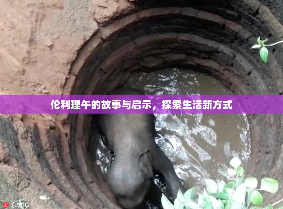 伦利理午的故事与启示，探索生活新方式