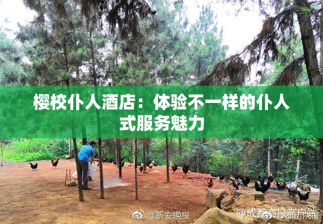 樱校仆人酒店：体验不一样的仆人式服务魅力