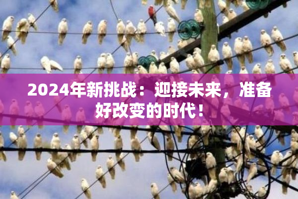 2024年新挑战：迎接未来，准备好改变的时代！