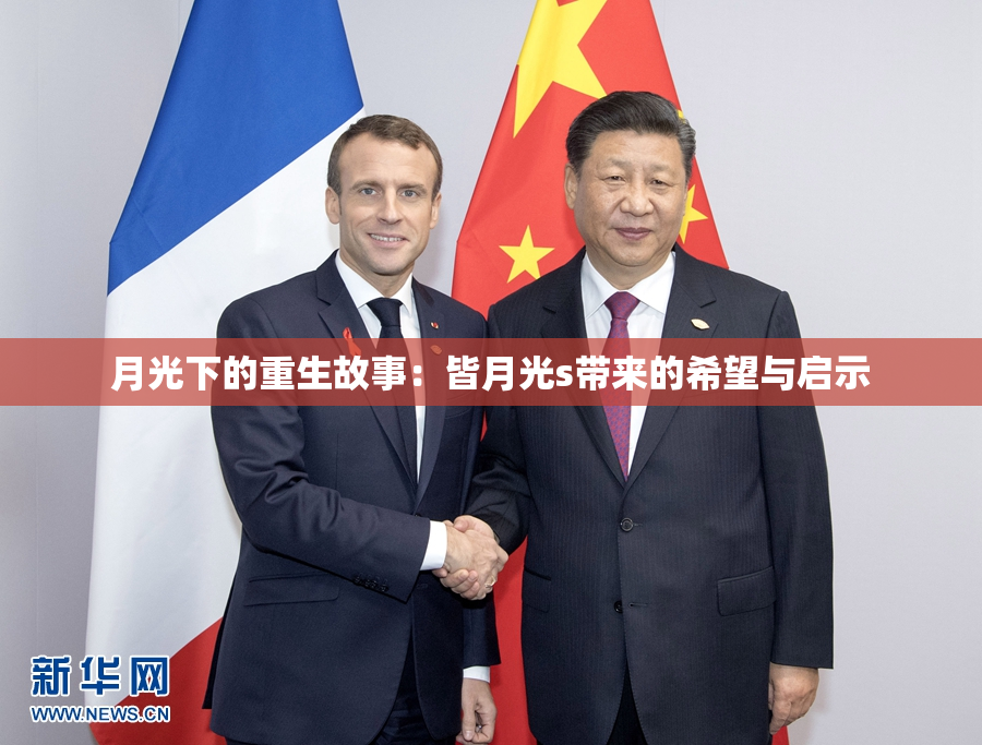 月光下的重生故事：皆月光s带来的希望与启示