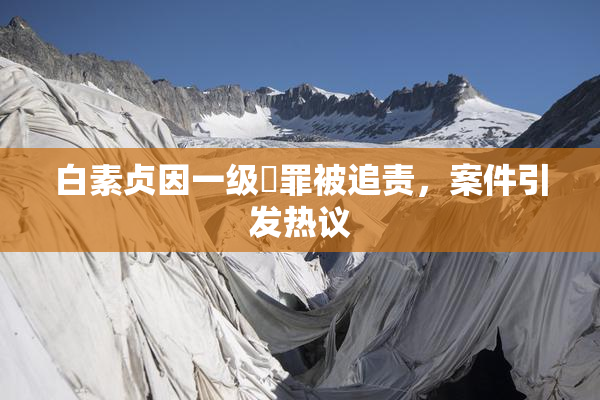 白素贞因一级婬罪被追责，案件引发热议