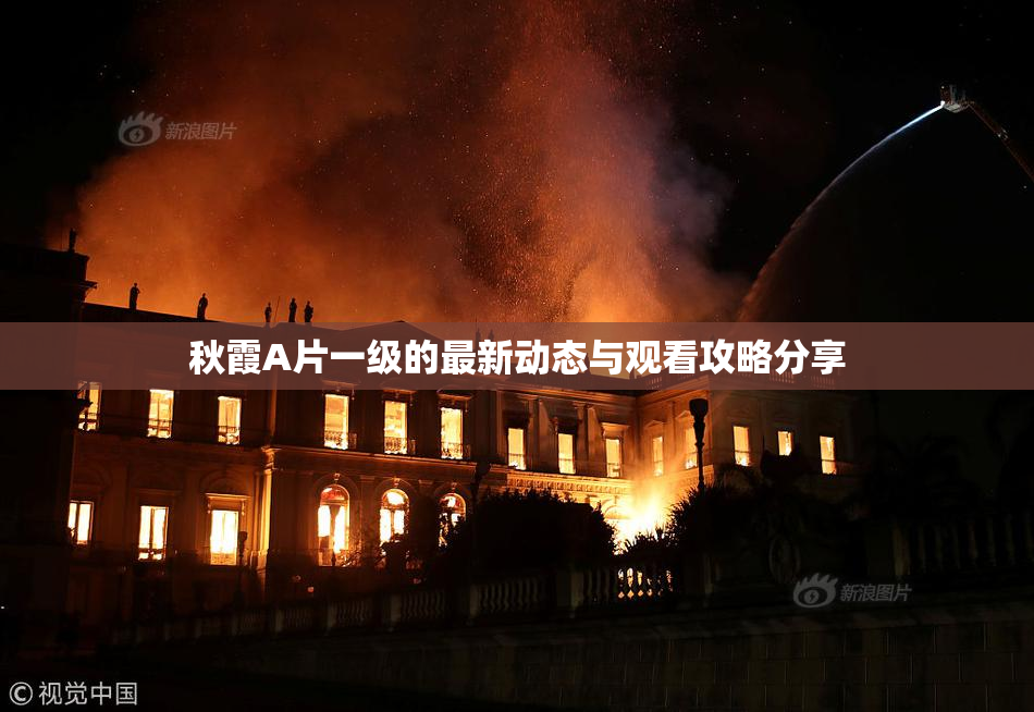 秋霞A片一级的最新动态与观看攻略分享