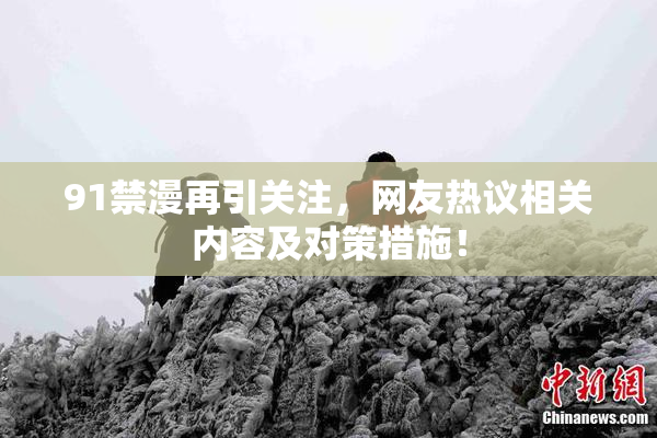 91禁漫再引关注，网友热议相关内容及对策措施！