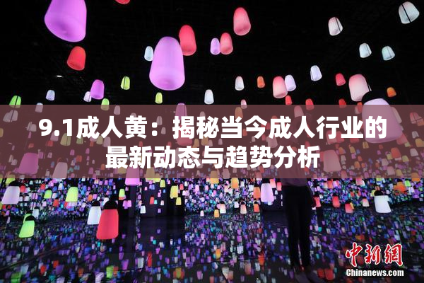 9.1成人黄：揭秘当今成人行业的最新动态与趋势分析