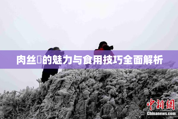 肉丝祙的魅力与食用技巧全面解析