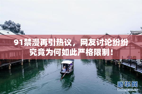 91禁漫再引热议，网友讨论纷纷究竟为何如此严格限制！