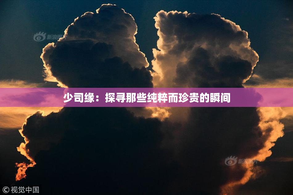 少司缘：探寻那些纯粹而珍贵的瞬间