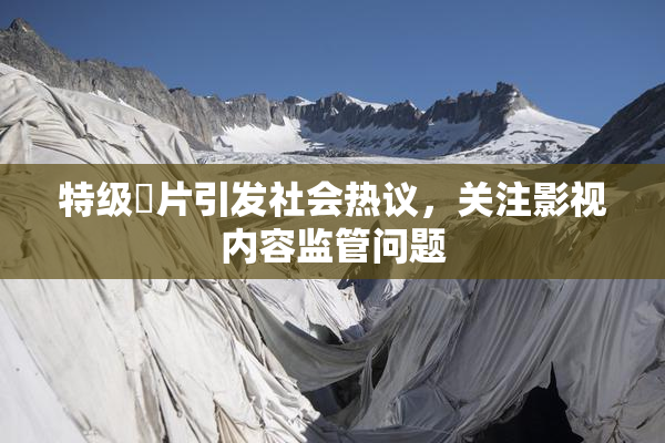 特级婬片引发社会热议，关注影视内容监管问题