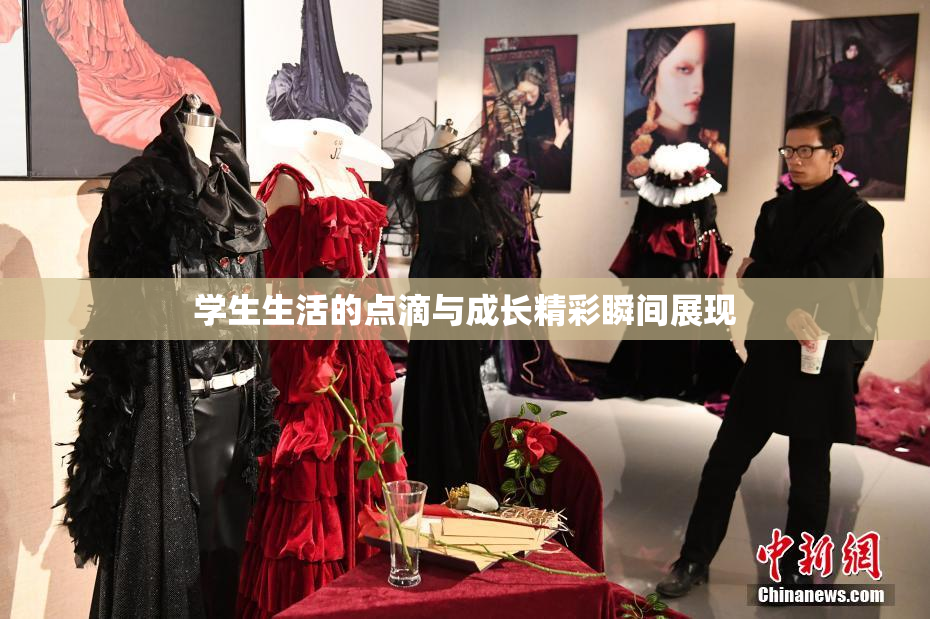 学生生活的点滴与成长精彩瞬间展现