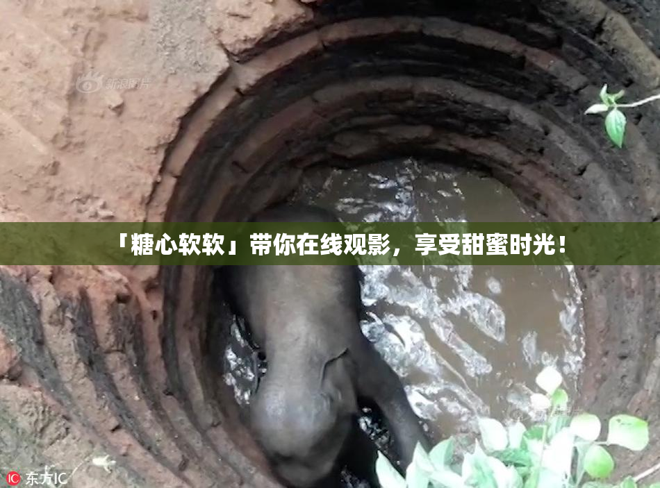 「糖心软软」带你在线观影，享受甜蜜时光！