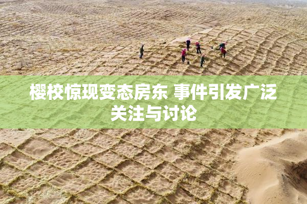 樱校惊现变态房东 事件引发广泛关注与讨论
