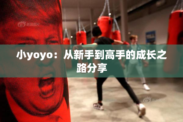 小yoyo：从新手到高手的成长之路分享
