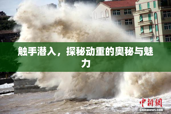 触手潜入，探秘动重的奥秘与魅力
