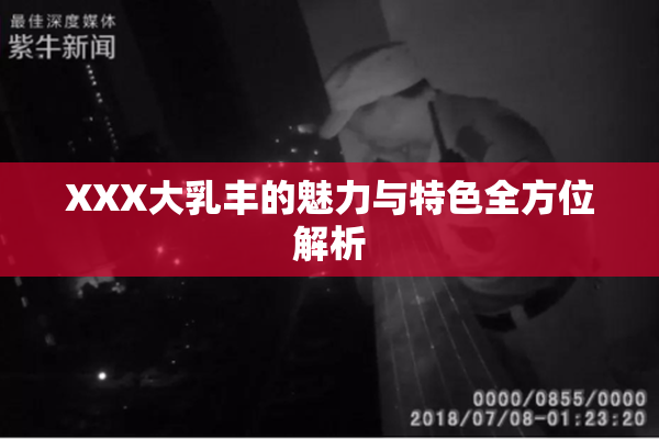 XXX大乳丰的魅力与特色全方位解析