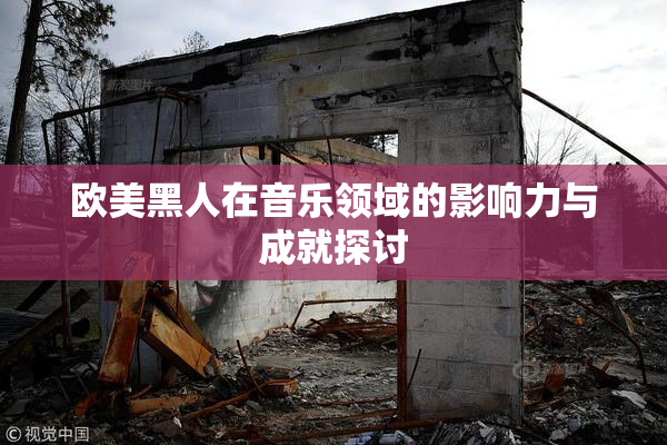 欧美黑人在音乐领域的影响力与成就探讨