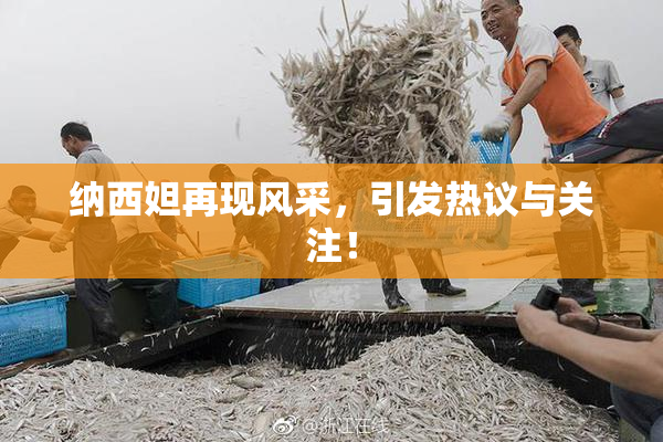 纳西妲再现风采，引发热议与关注！