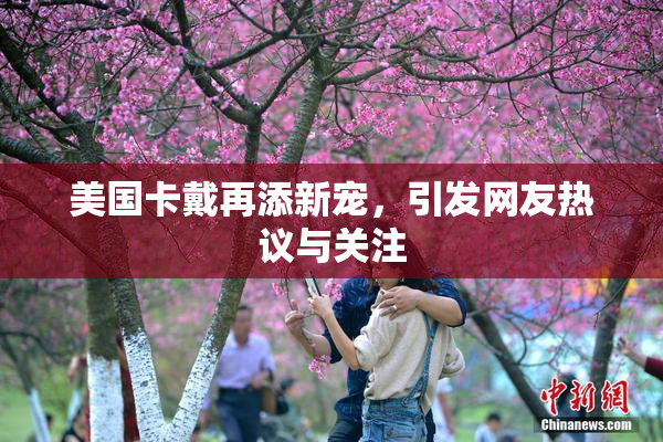 美国卡戴再添新宠，引发网友热议与关注