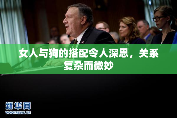 女人与狗的搭配令人深思，关系复杂而微妙