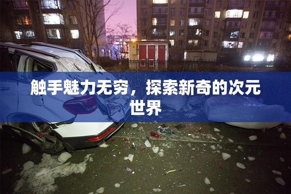 触手魅力无穷，探索新奇的次元世界