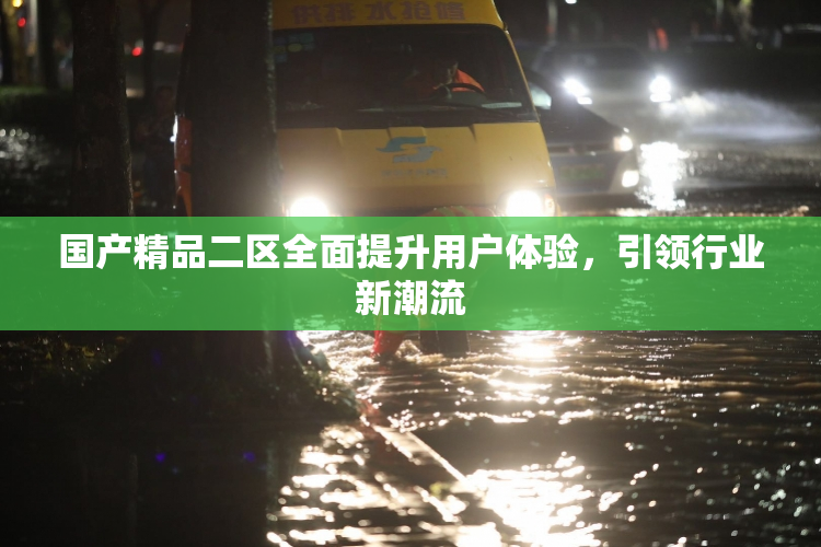 国产精品二区全面提升用户体验，引领行业新潮流