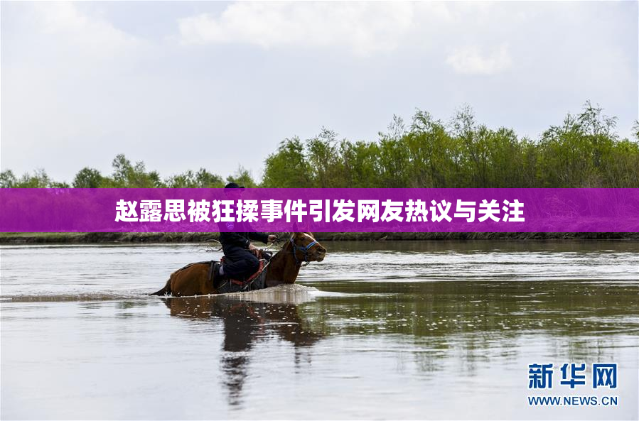 赵露思被狂揉事件引发网友热议与关注