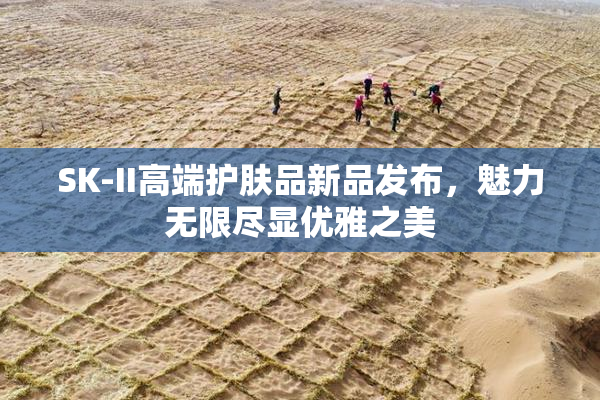 SK-II高端护肤品新品发布，魅力无限尽显优雅之美
