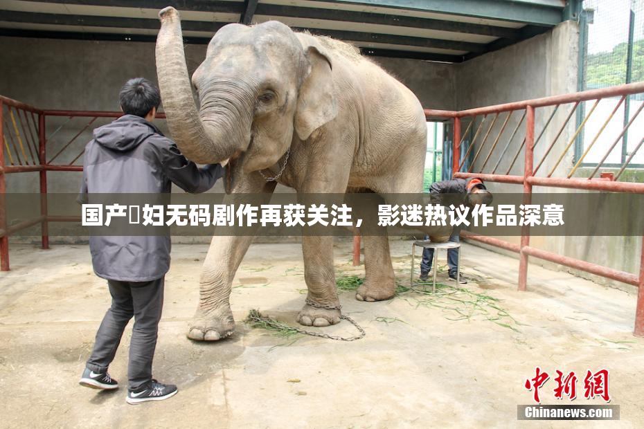 国产婬妇无码剧作再获关注，影迷热议作品深意