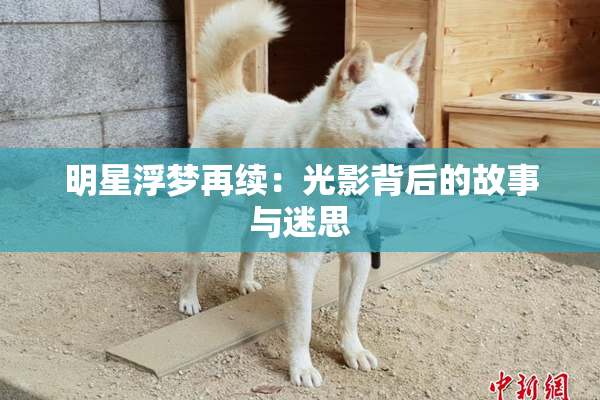 明星浮梦再续：光影背后的故事与迷思